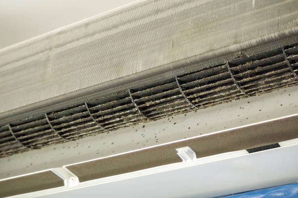 Best Local Air Duct Cleaning Services  in Lima, PA